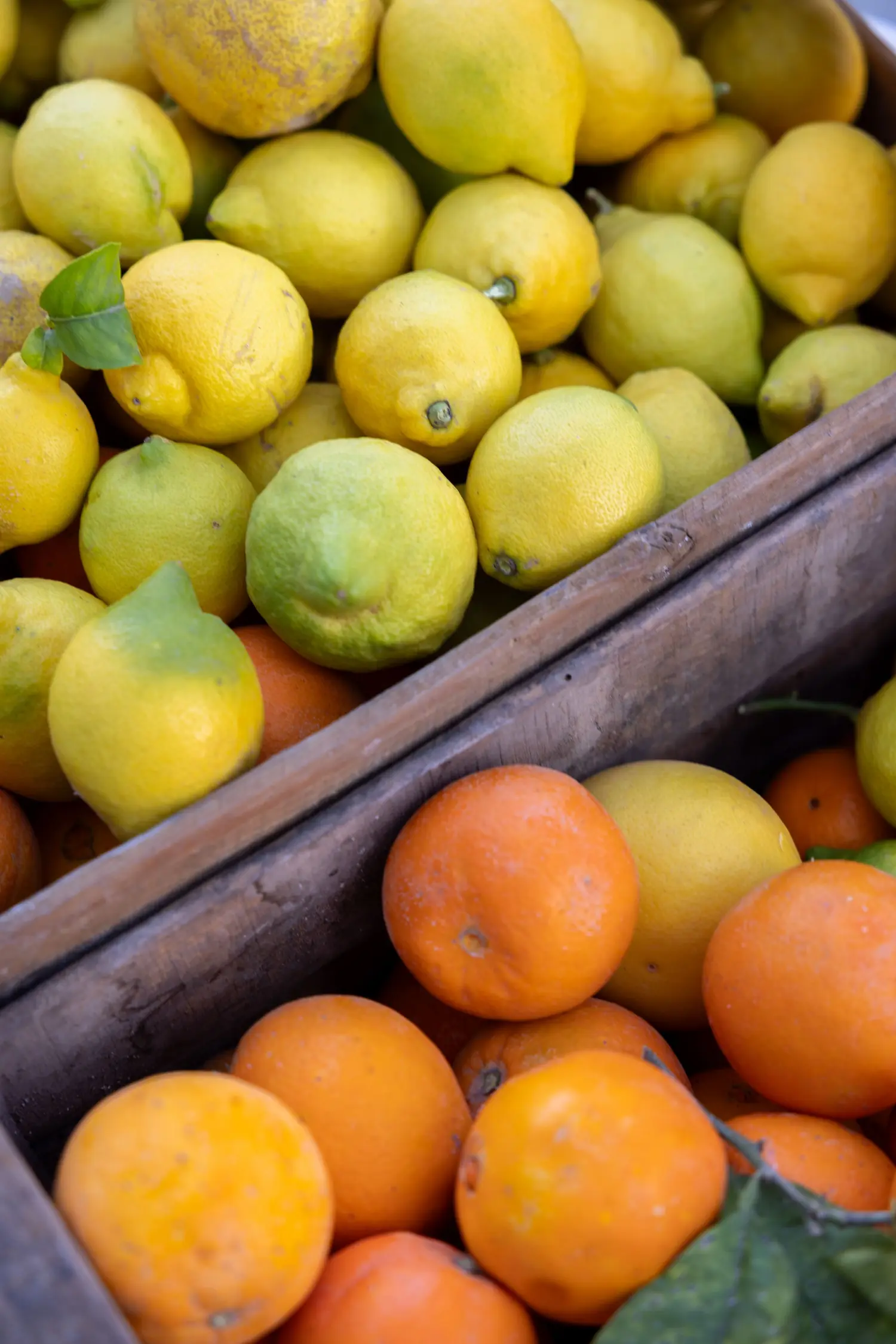 Zitronen und Orangen in Holzkisten