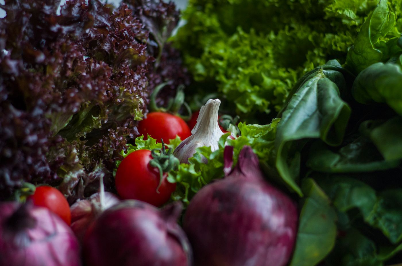 Blattsalate, Knoblauch, Tomaten und rote Zwiebeln aus der Nähe